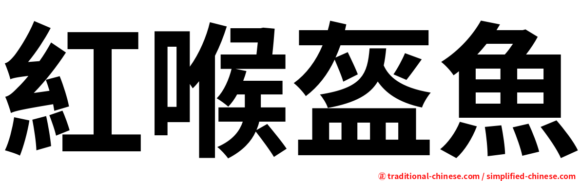 紅喉盔魚