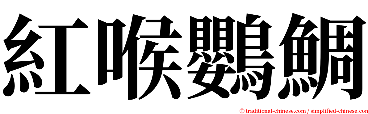 紅喉鸚鯛 serif font