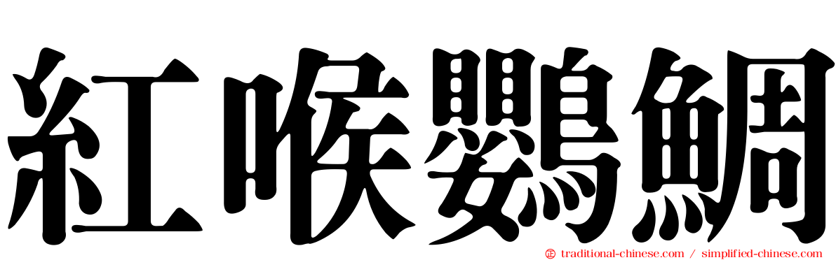 紅喉鸚鯛
