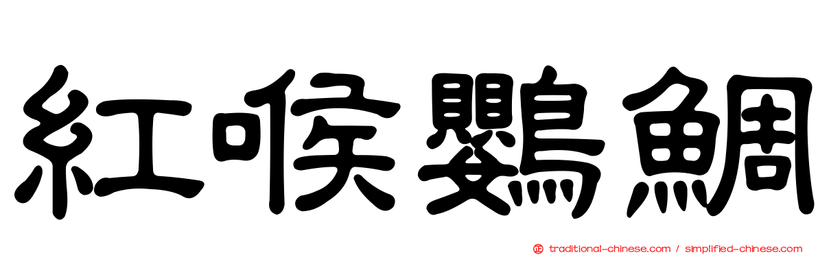 紅喉鸚鯛