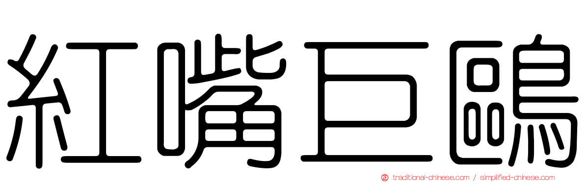 紅嘴巨鷗