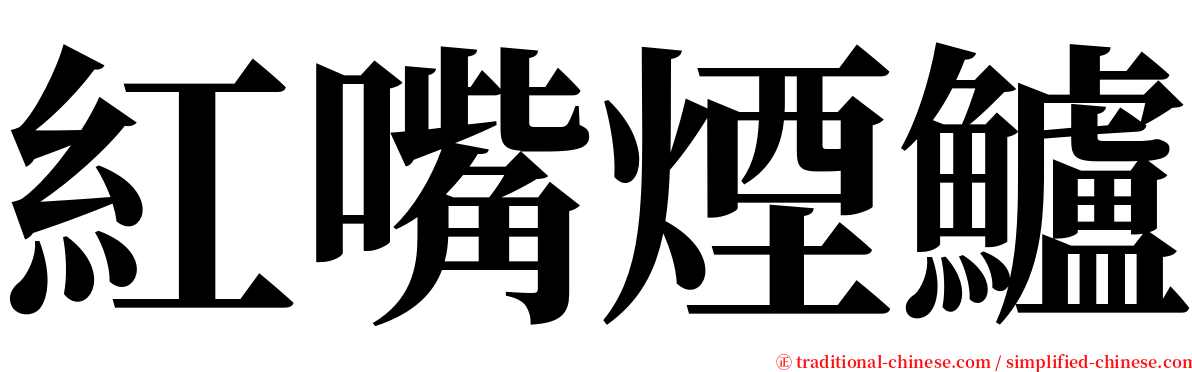 紅嘴煙鱸 serif font