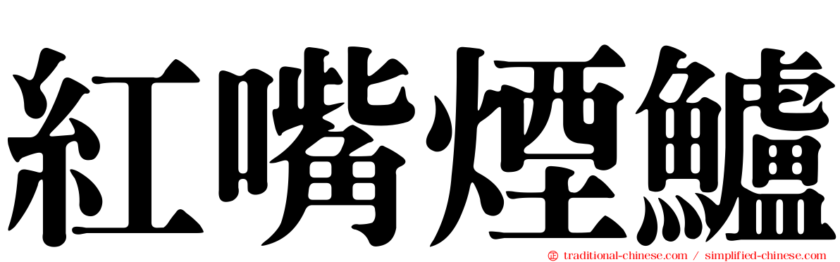 紅嘴煙鱸