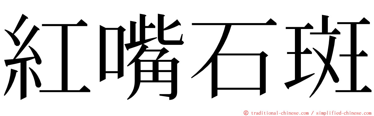 紅嘴石斑 ming font