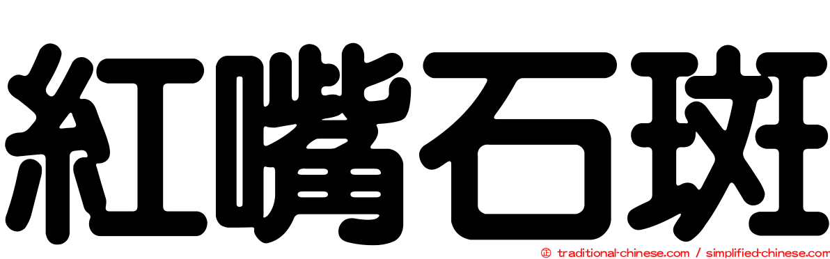 紅嘴石斑
