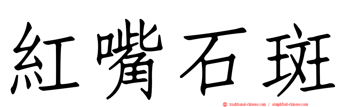 紅嘴石斑