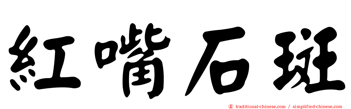 紅嘴石斑