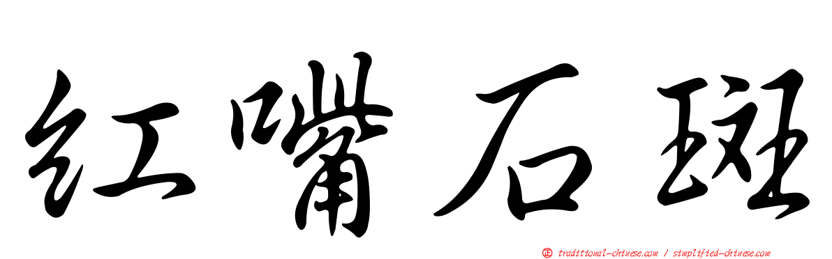 紅嘴石斑