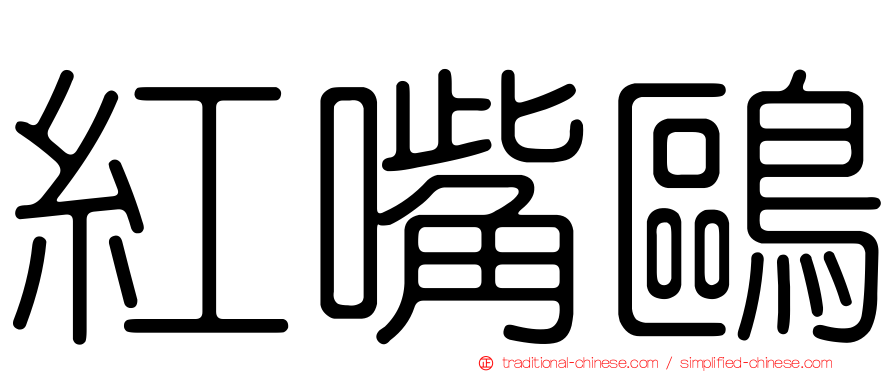紅嘴鷗