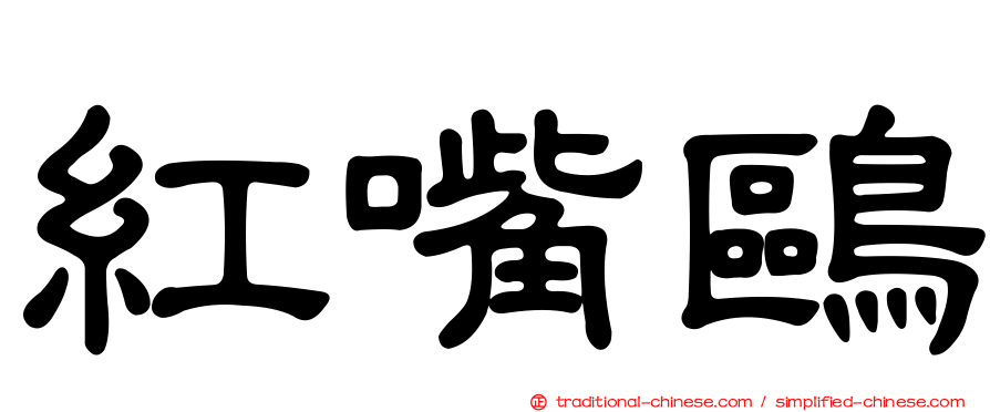 紅嘴鷗