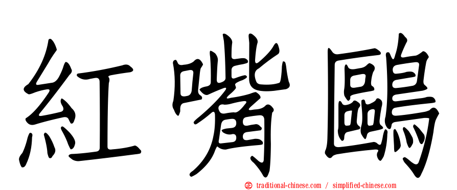 紅嘴鷗