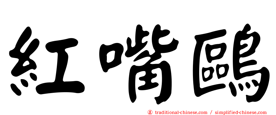 紅嘴鷗