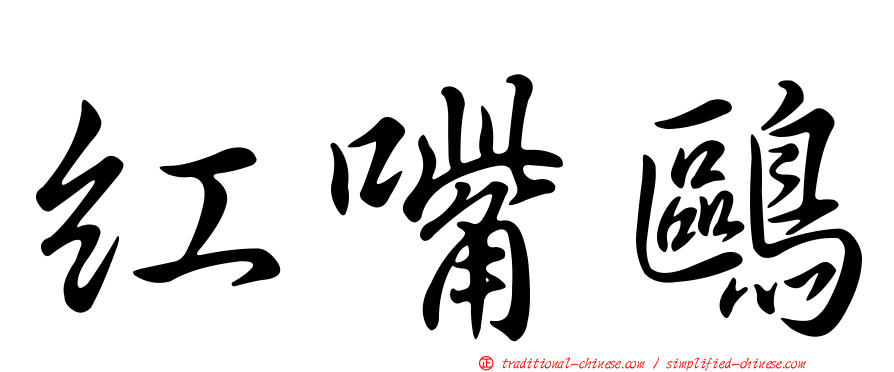 紅嘴鷗