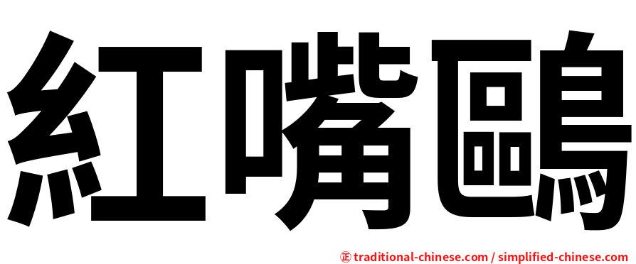 紅嘴鷗