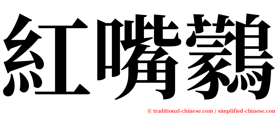 紅嘴鸏 serif font