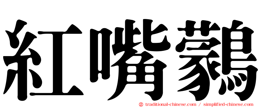 紅嘴鸏