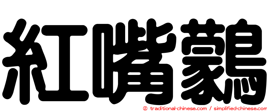 紅嘴鸏
