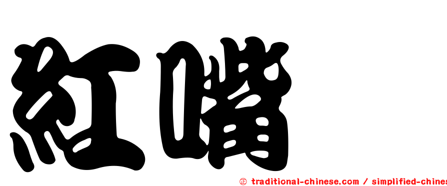 紅嘴鸏