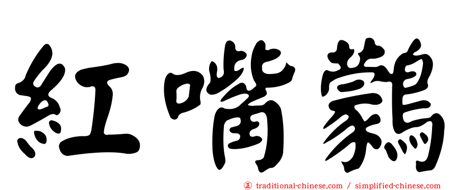 紅嘴鸏