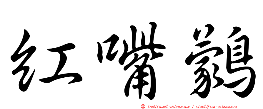 紅嘴鸏