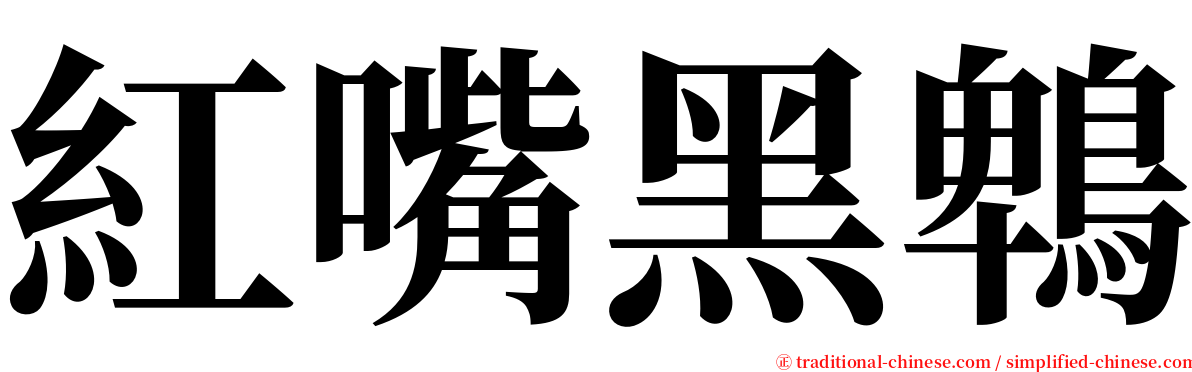 紅嘴黑鵯 serif font