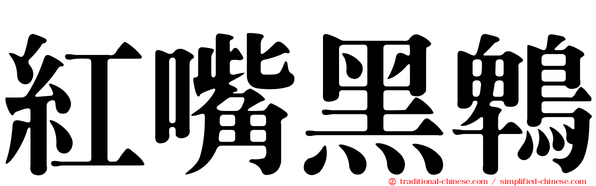 紅嘴黑鵯