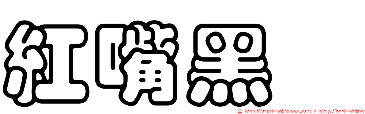 紅嘴黑鵯