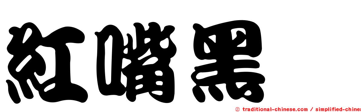 紅嘴黑鵯
