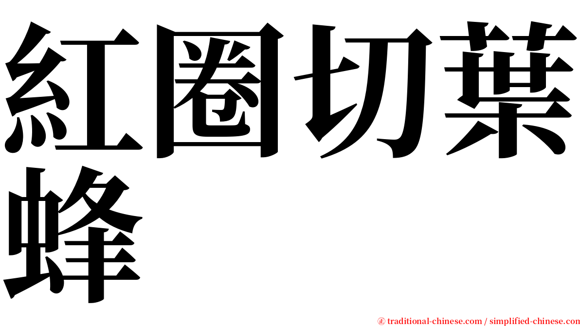 紅圈切葉蜂 serif font