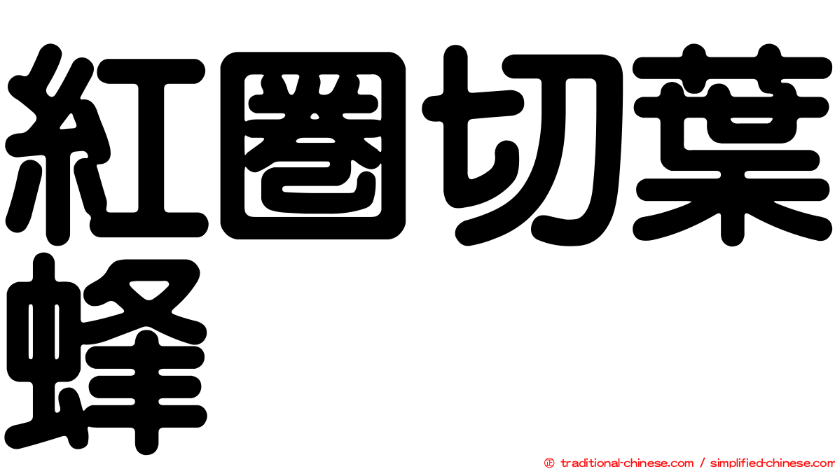 紅圈切葉蜂