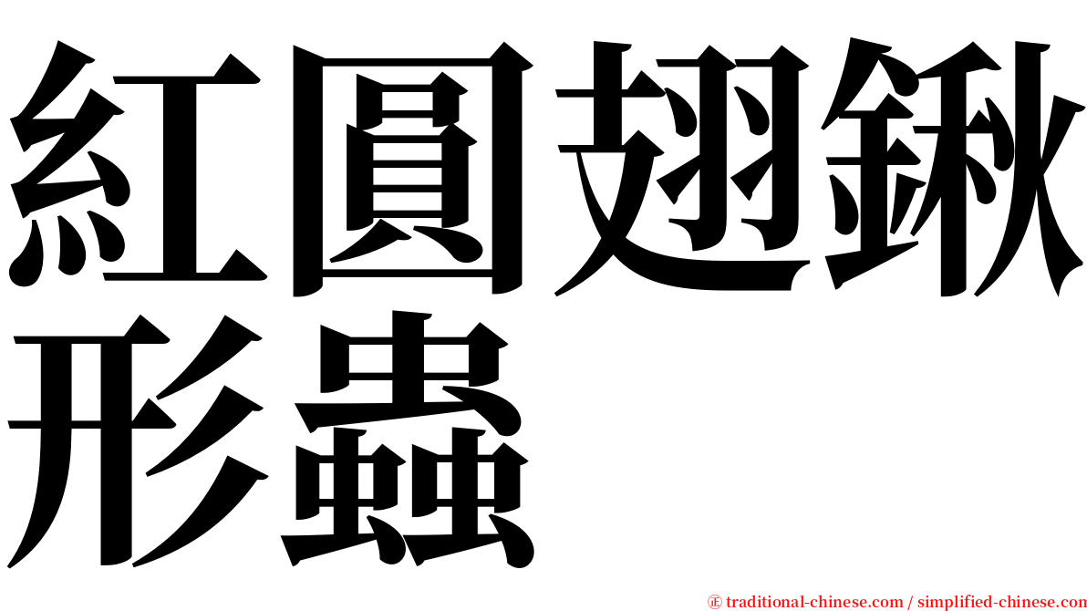 紅圓翅鍬形蟲 serif font