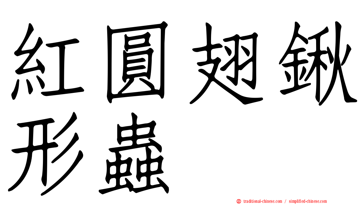 紅圓翅鍬形蟲
