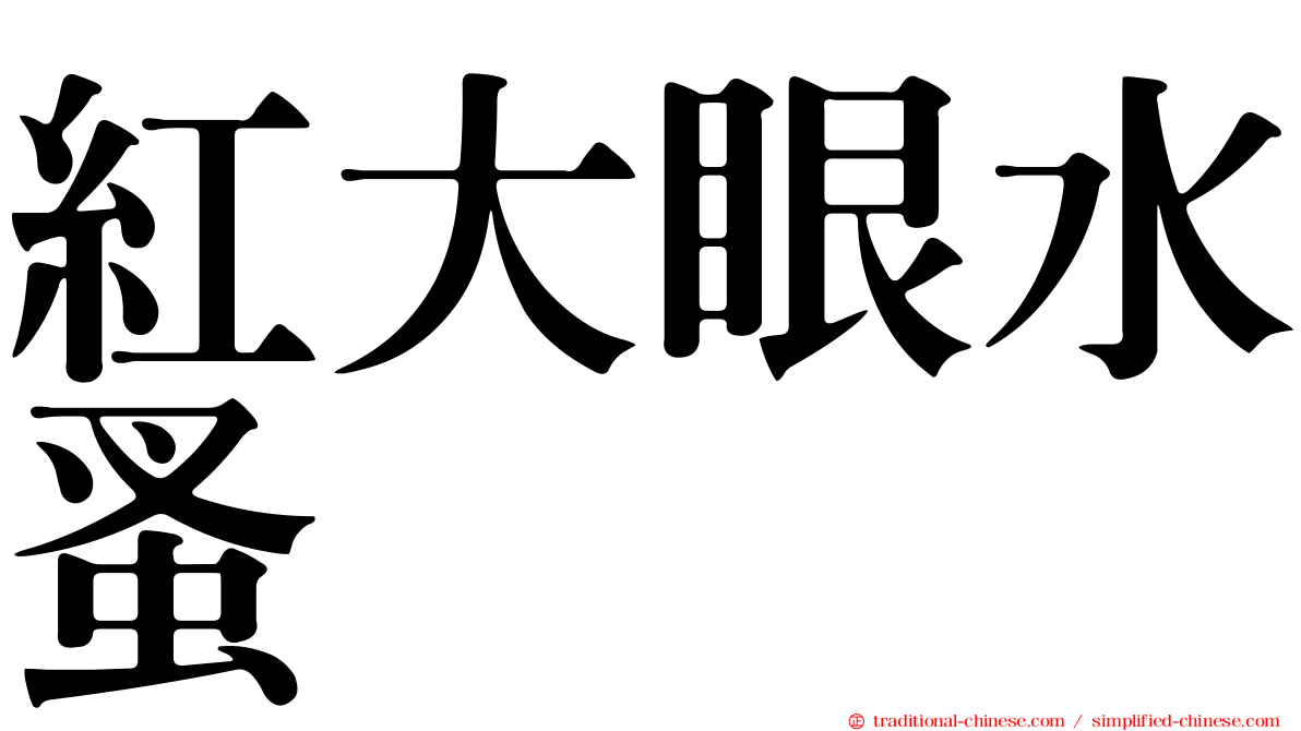 紅大眼水蚤