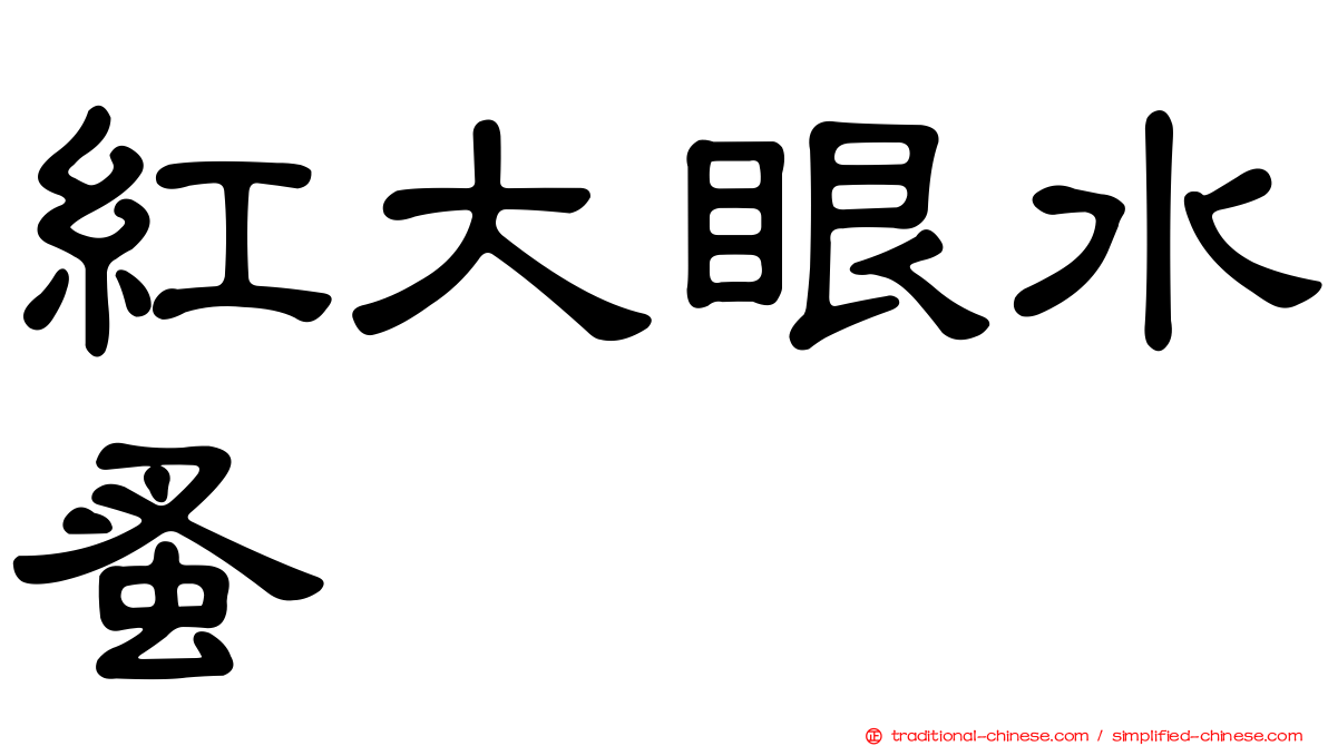 紅大眼水蚤