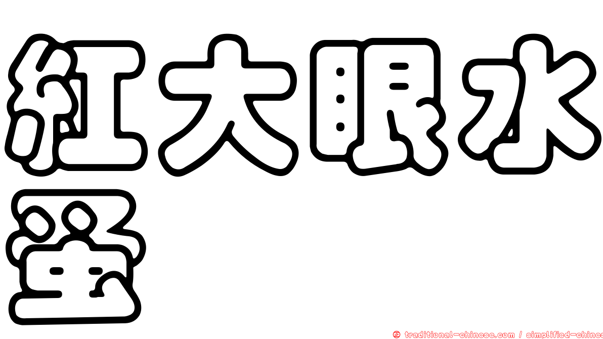 紅大眼水蚤