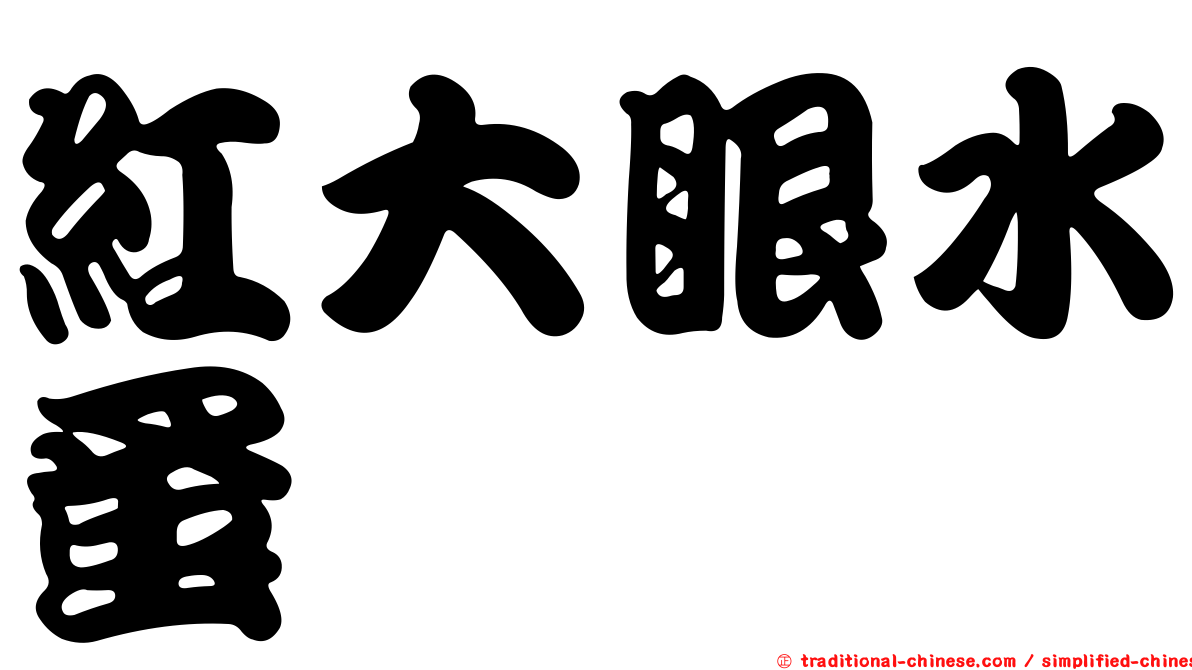 紅大眼水蚤