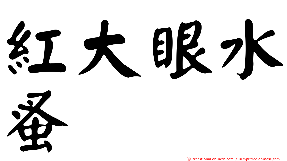 紅大眼水蚤
