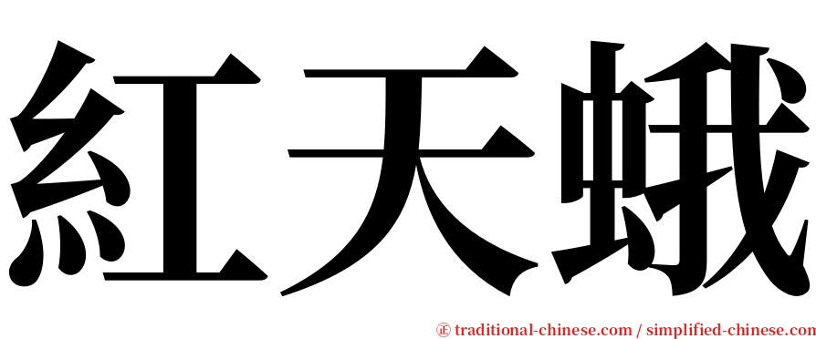 紅天蛾 serif font
