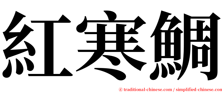 紅寒鯛 serif font