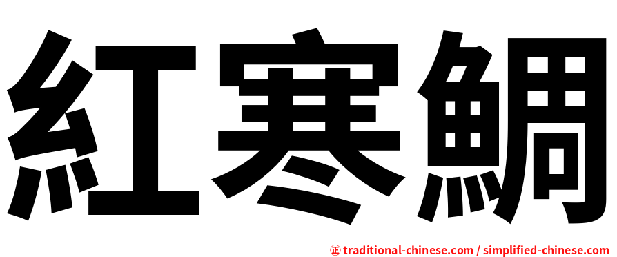 紅寒鯛