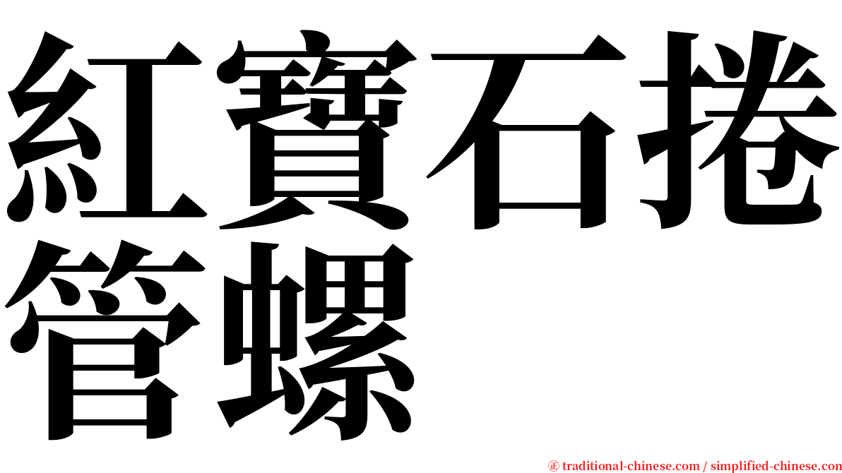 紅寶石捲管螺 serif font