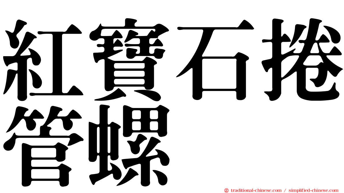 紅寶石捲管螺