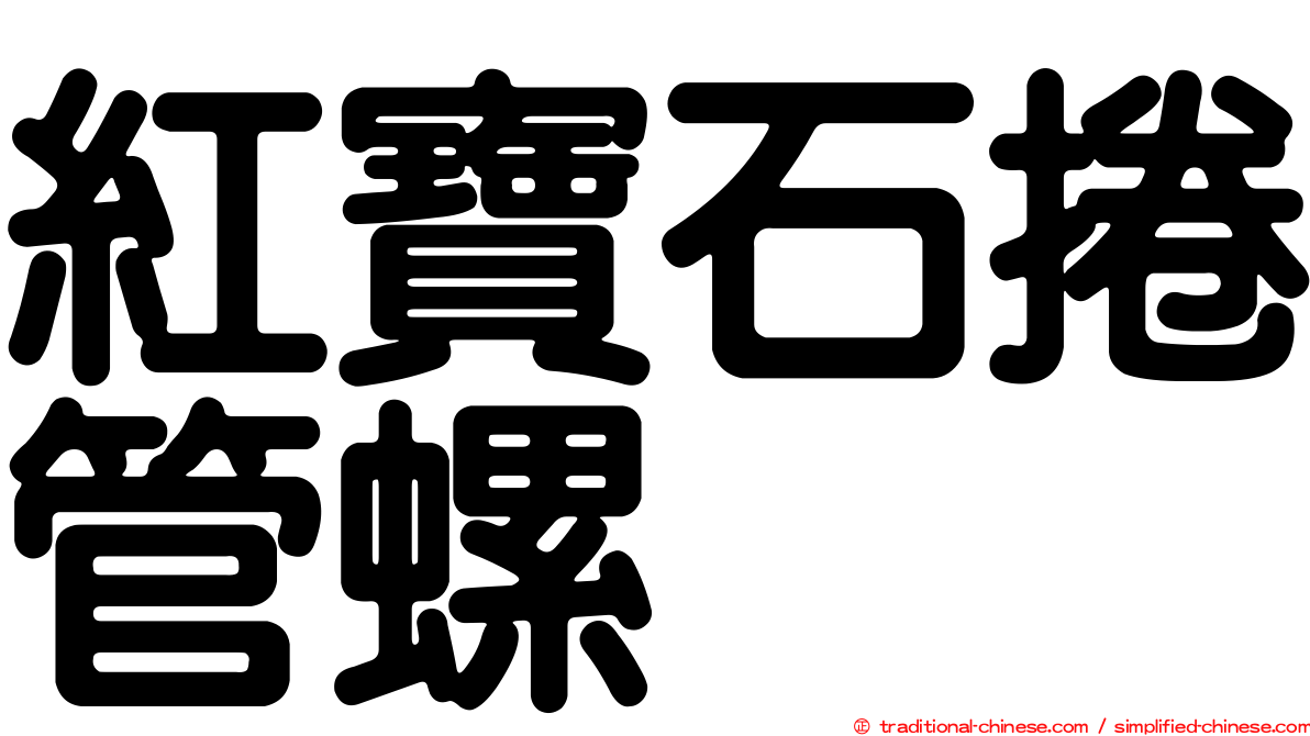 紅寶石捲管螺