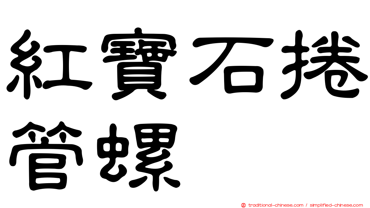 紅寶石捲管螺