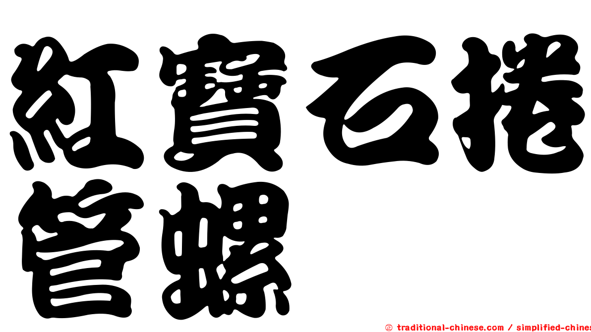 紅寶石捲管螺