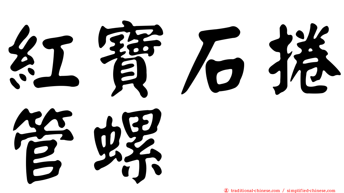 紅寶石捲管螺