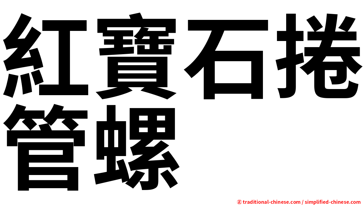 紅寶石捲管螺