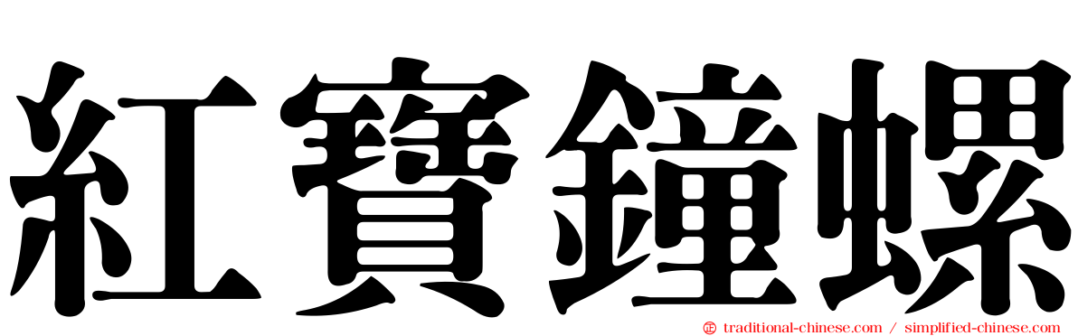 紅寶鐘螺