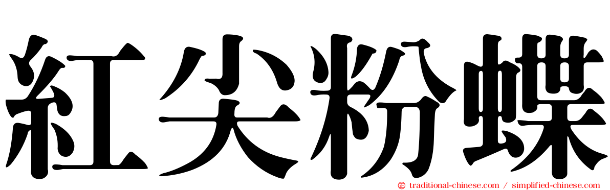 紅尖粉蝶