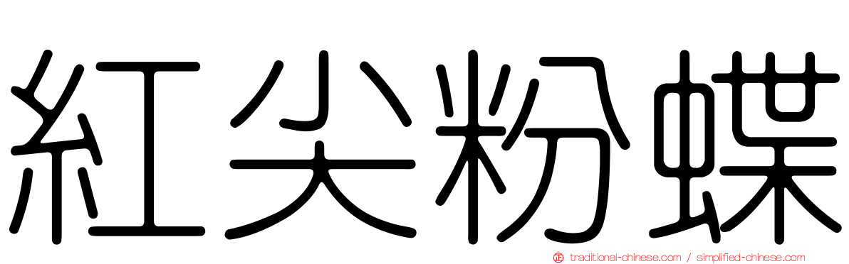紅尖粉蝶